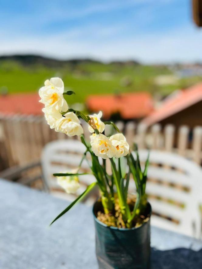 Apartment Buron 7 *